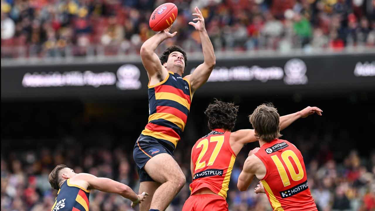 Adelaide down Gold Coast as Suns' Powell hurt again