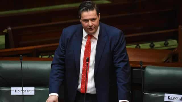 Labor MP plans to stay in parliament after allegation