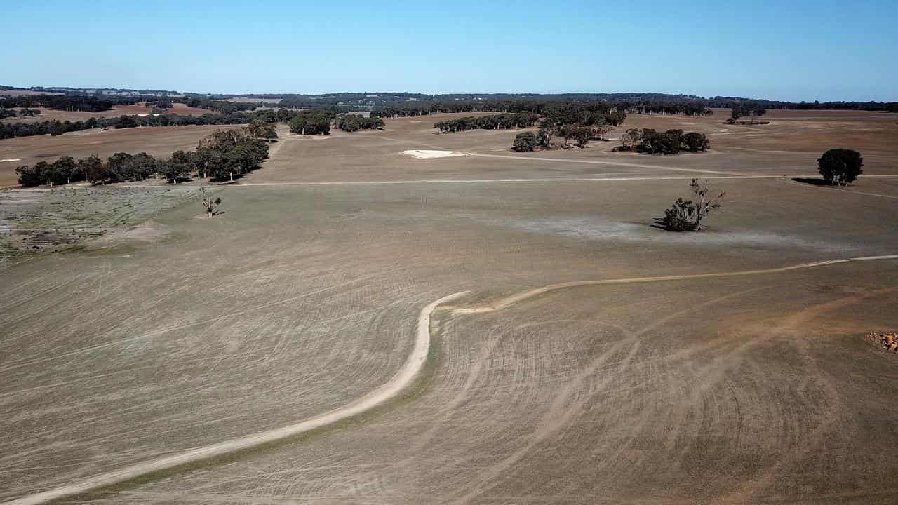 Trade minister writes to China to end barley snub