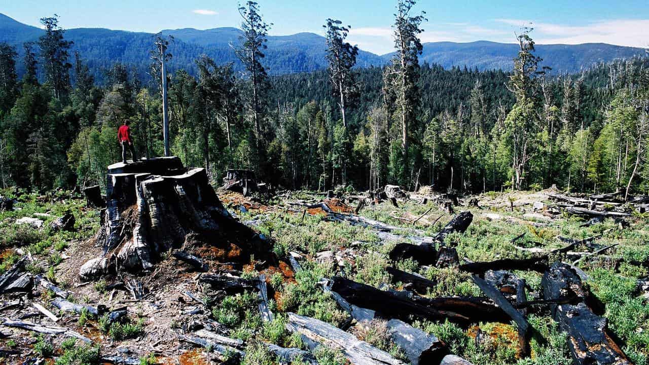 Push to end native logging ahead of Labor policy parley