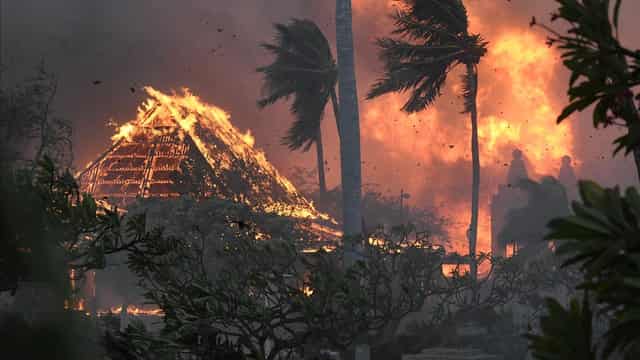 Fires kill 36 as 'apocalypse' strikes Hawaii paradise