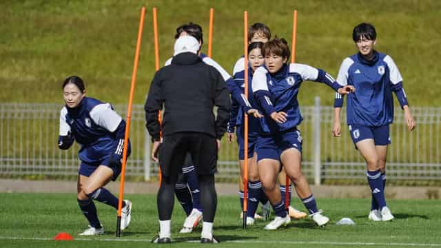 Sweden wary of much-improved Japan at World Cup