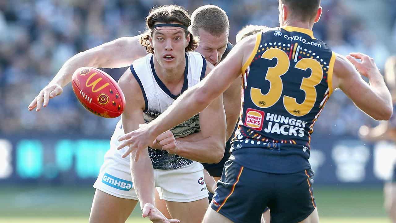 Injury-hit Cats turn to unheralded forward Neale