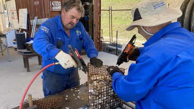 Oyster lovers on epic mission to restock Queensland bay