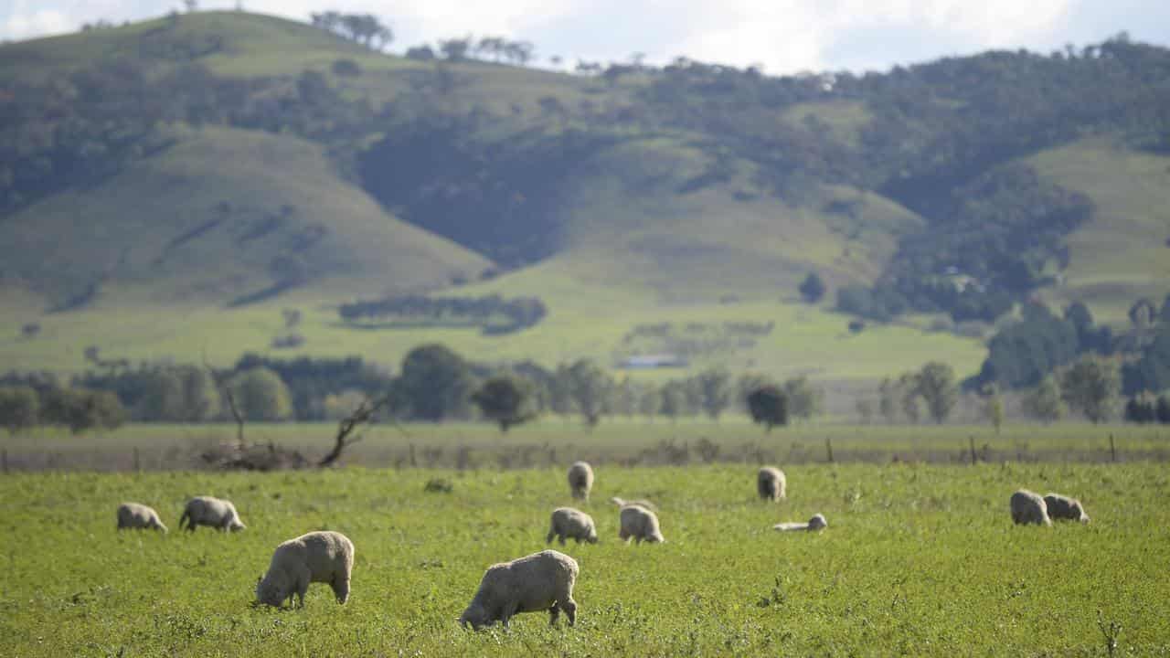 Farmers on front line of battle against invasive deer