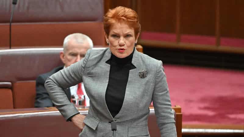 Student avoids conviction for Pauline Hanson threats