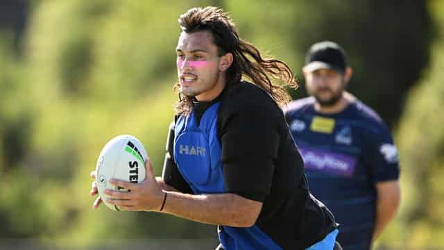 Hasler and Tino a Titans match made in heaven: Vautin