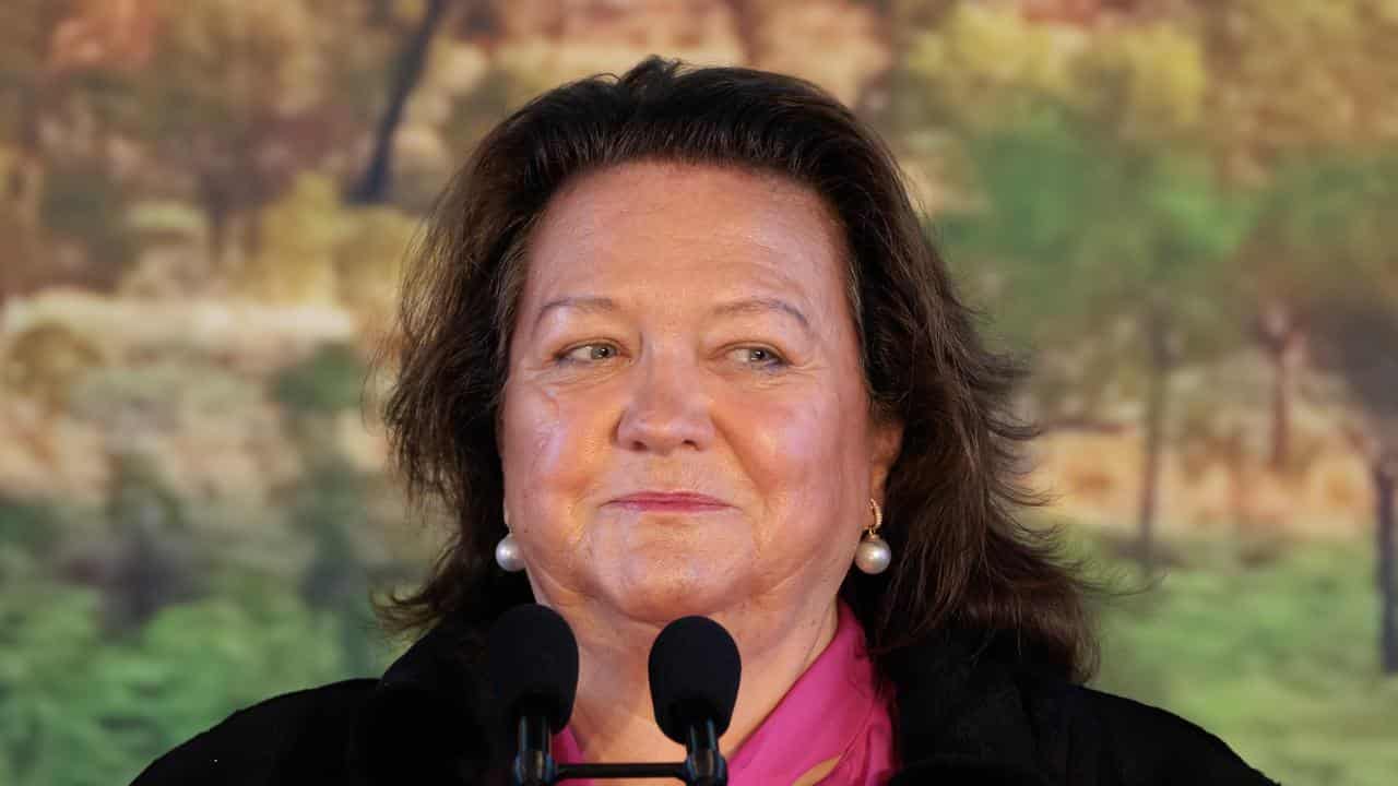 Alleged Rinehart plan to boost wealth at kids' expense