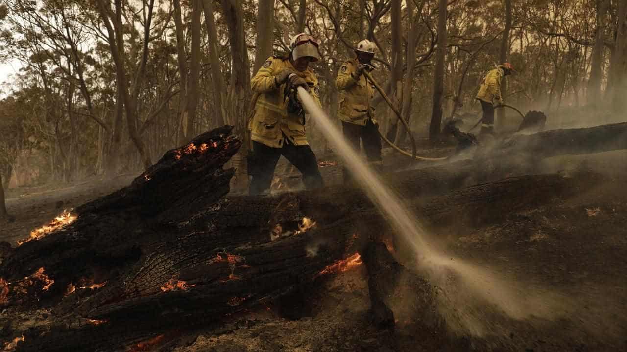 Australia's big wet fuels bushfire risks this spring