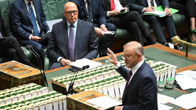 Ticked-off Dutton seeks referendum vote method clarity