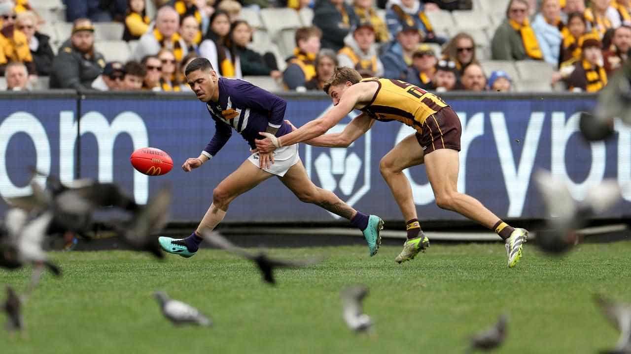 Finals miss to 'burn' Dockers despite win over Hawks