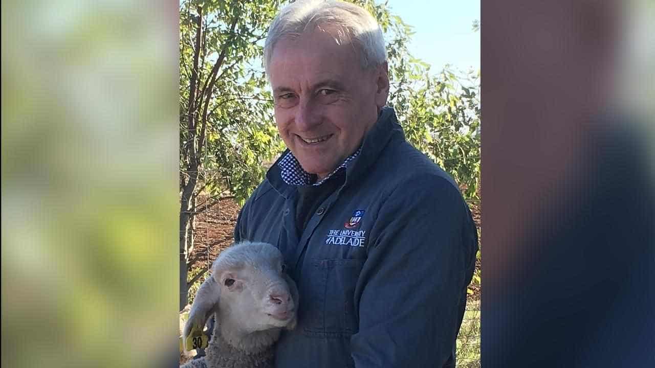 Farmers eye revolutionary jab amid shearing shortage