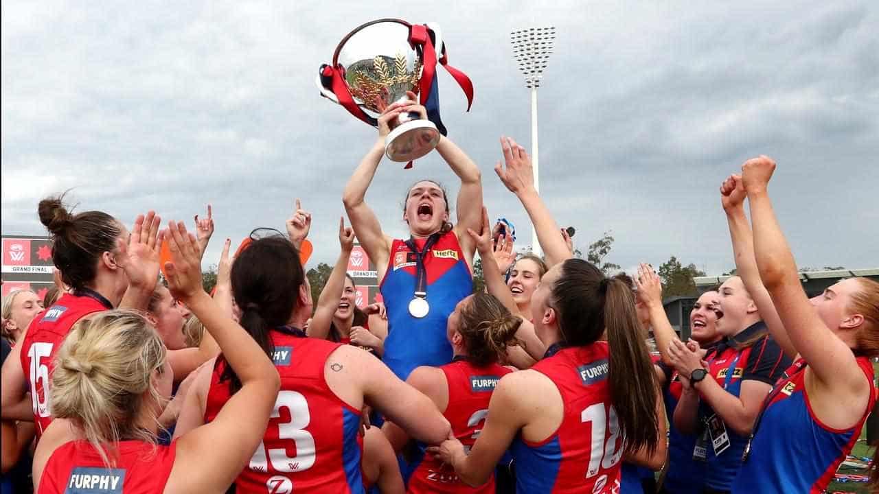 Hawks' Goddard declares Dees 'a cut above' AFLW rivals