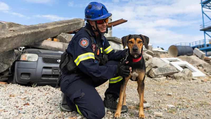 K9 rescue squad a bunch of very good boys and girls