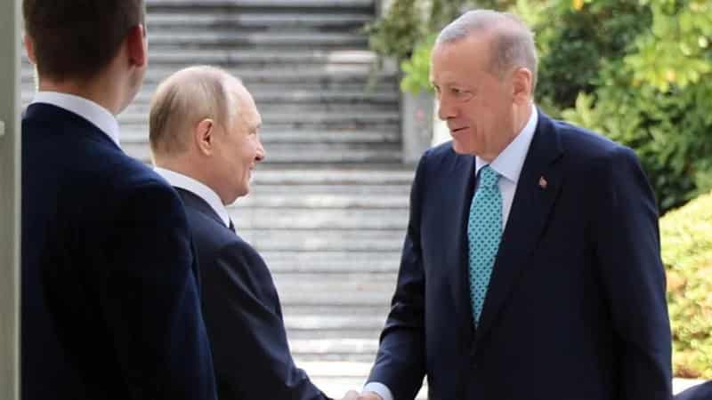 Putin tells Erdogan: we're ready to discuss grain