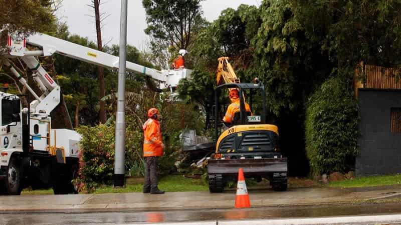 Strong winds in east as storms down trees, damage homes