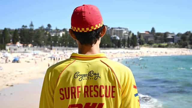 Lifesavers warn of risky summer despite drowning drop