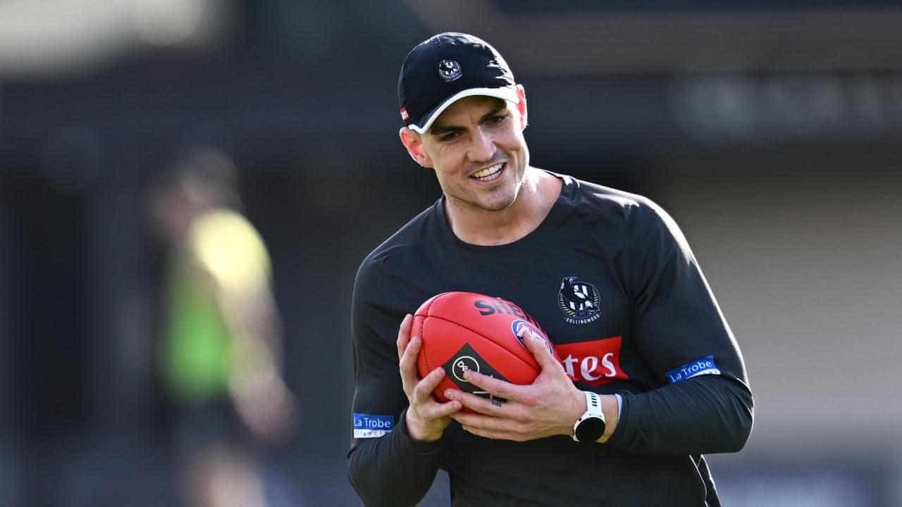 Collingwood's Brayden Maynard cleared at AFL Tribunal