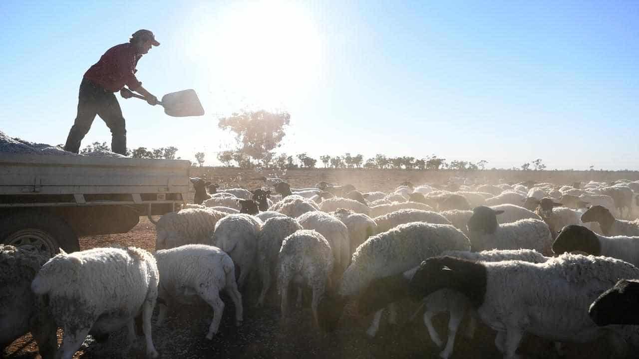 New tool to help farmers hit by natural disasters