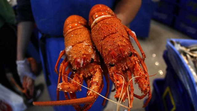 Lobsters on ice as premier seeks China trade thaw