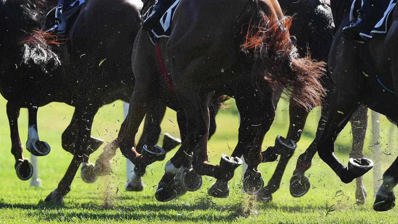 Racing Victoria to discuss compo for abuse survivors