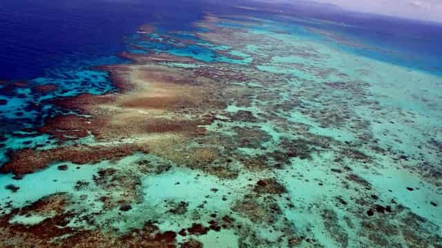 Australia granted more time to address reef threats