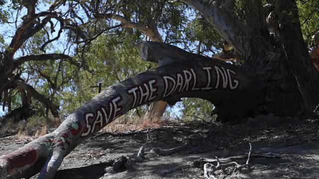 Farmers push back over Murray-Darling Basin uncertainty