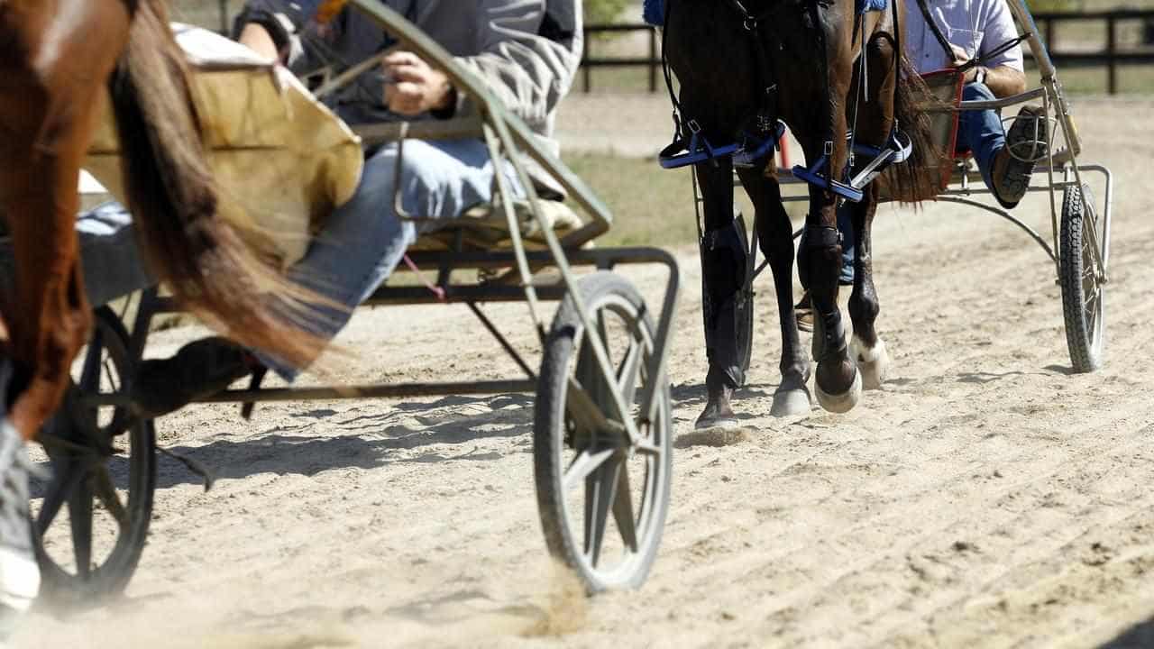 Harness racing horse welfare fails to keep pace in Tas