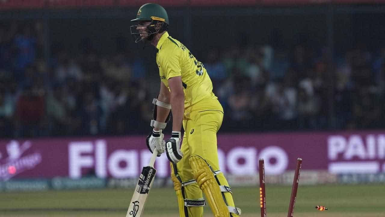 India canter to win on another dark day for Australia