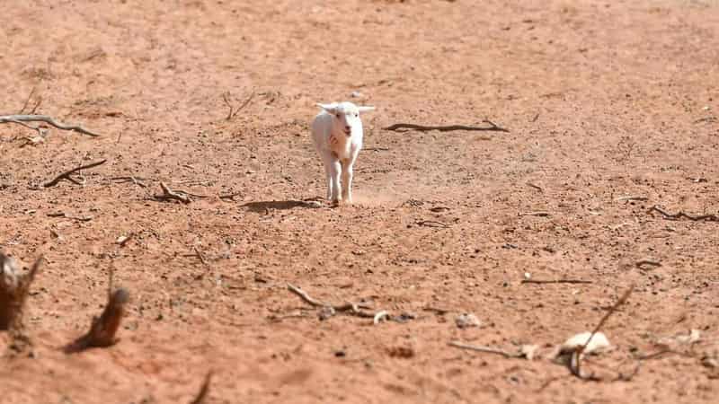 Farmers backed to tackle disasters, drought front on