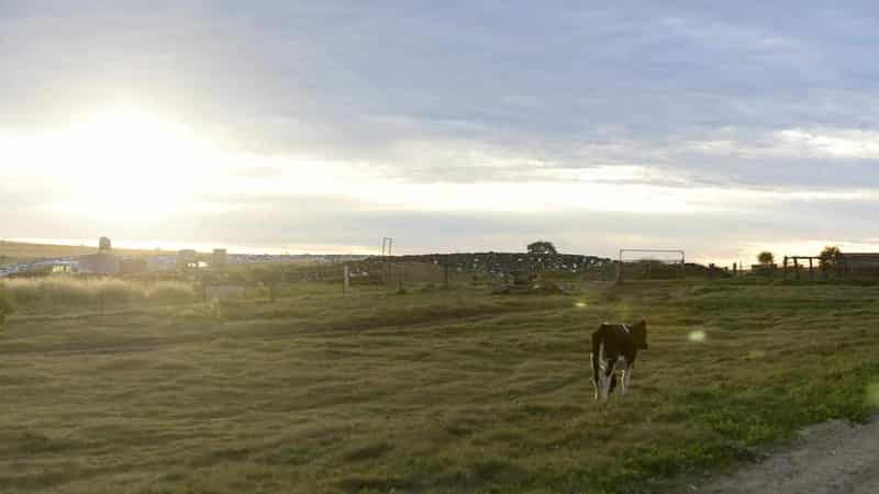 ASIC in 'shameful' conduct towards farmers over banks