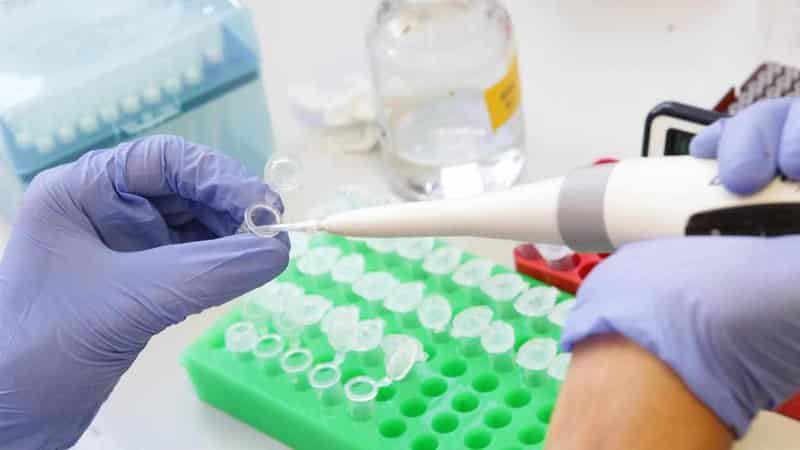 Review reveals 7000 more cases affected by forensic lab