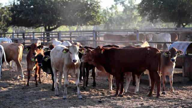 Farm incomes to tumble as drier conditions take hold