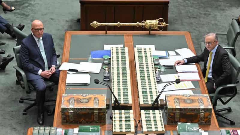 ALP primary vote slips since election: Newspoll