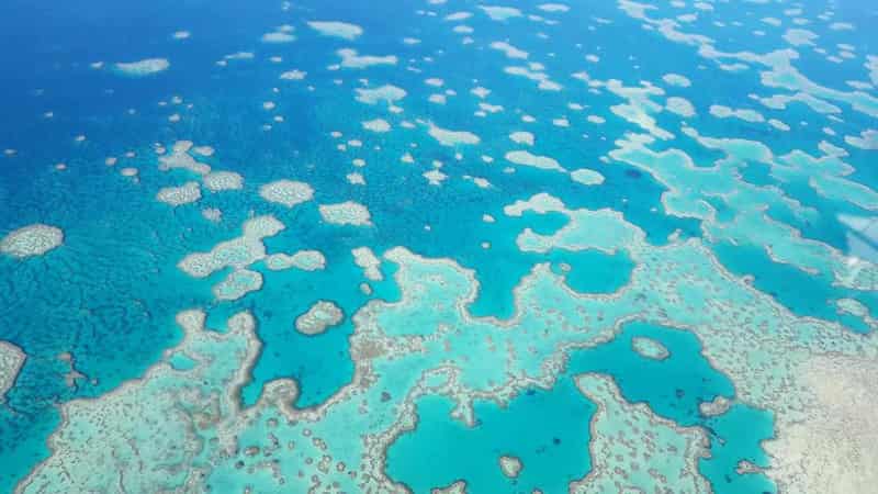 Major new threat to Great Barrier Reef identified