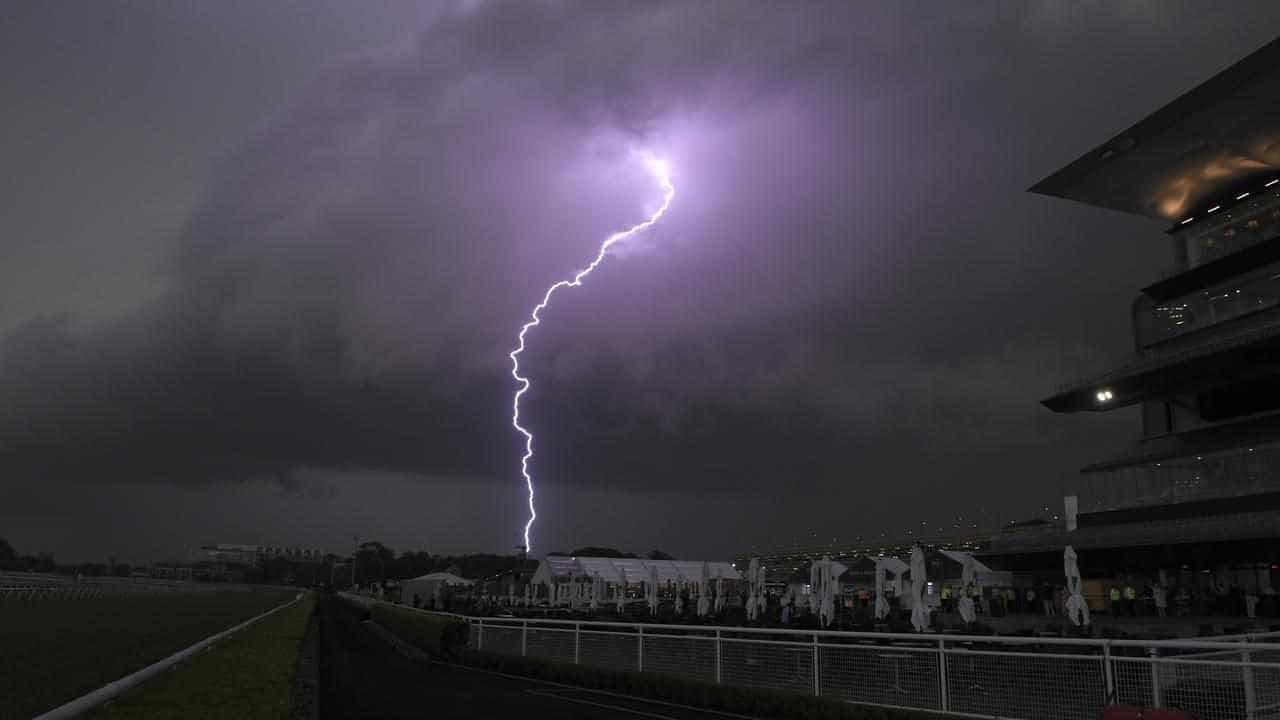 Long pollen season prompts thunderstorm asthma warning