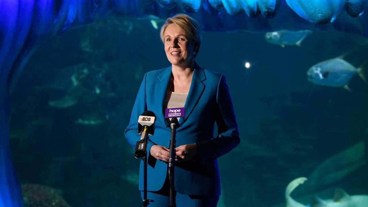 Court dismisses climate case against Plibersek