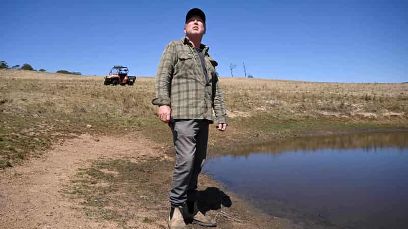 Farmer says 'it's all starting again' as dams run dry