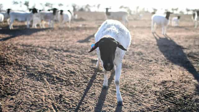 Farmland most 'tightly held' it's been in a generation