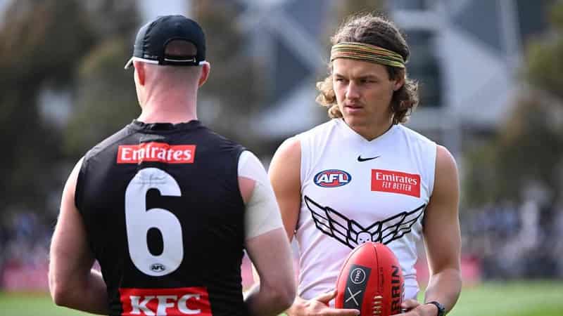 Collingwood reject theory Ginnivan was forced out