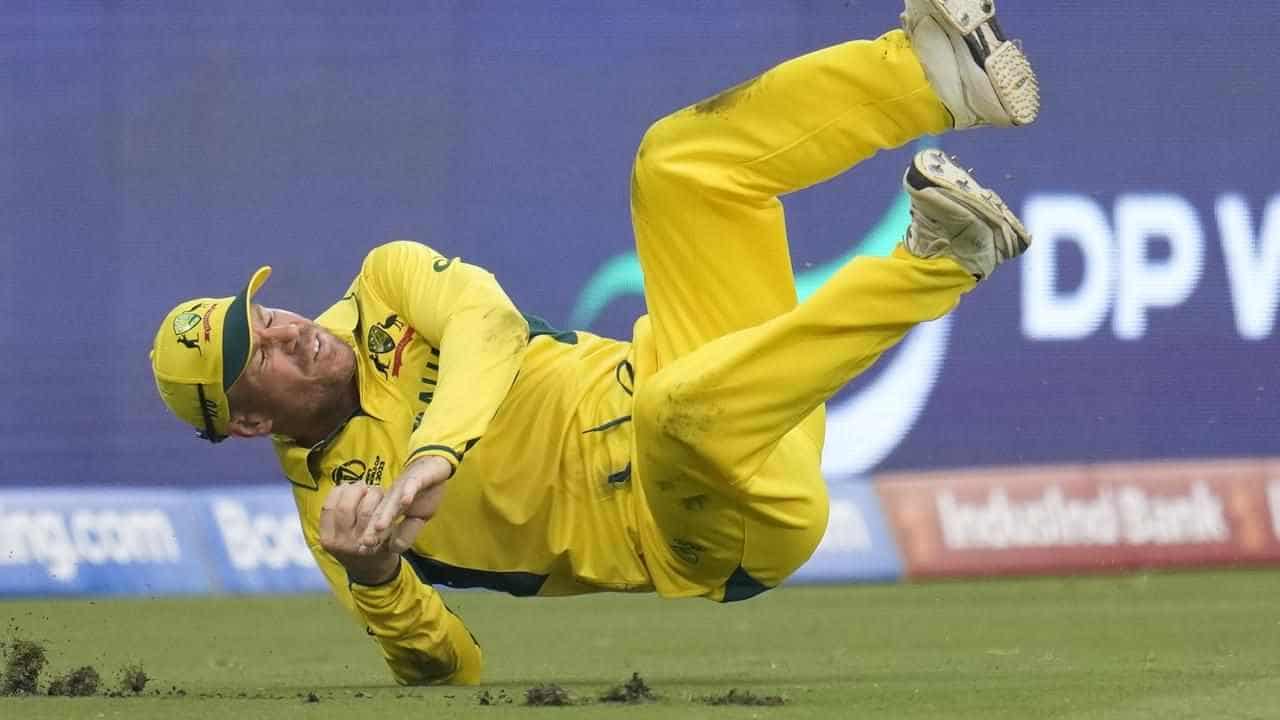 Fielding feats all attitude for 'bulldog' David Warner