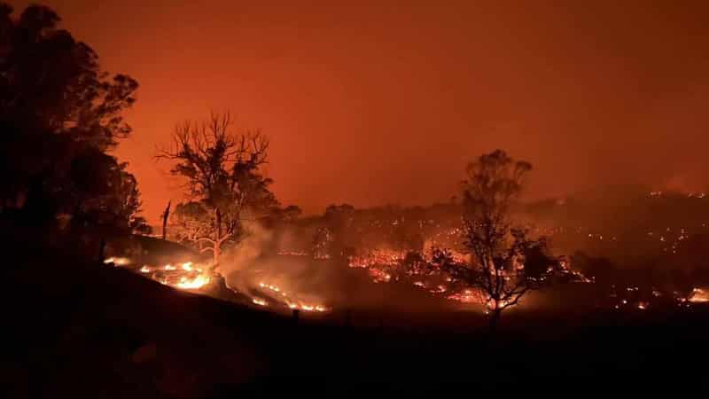 Seven homes lost in northern NSW bushfire