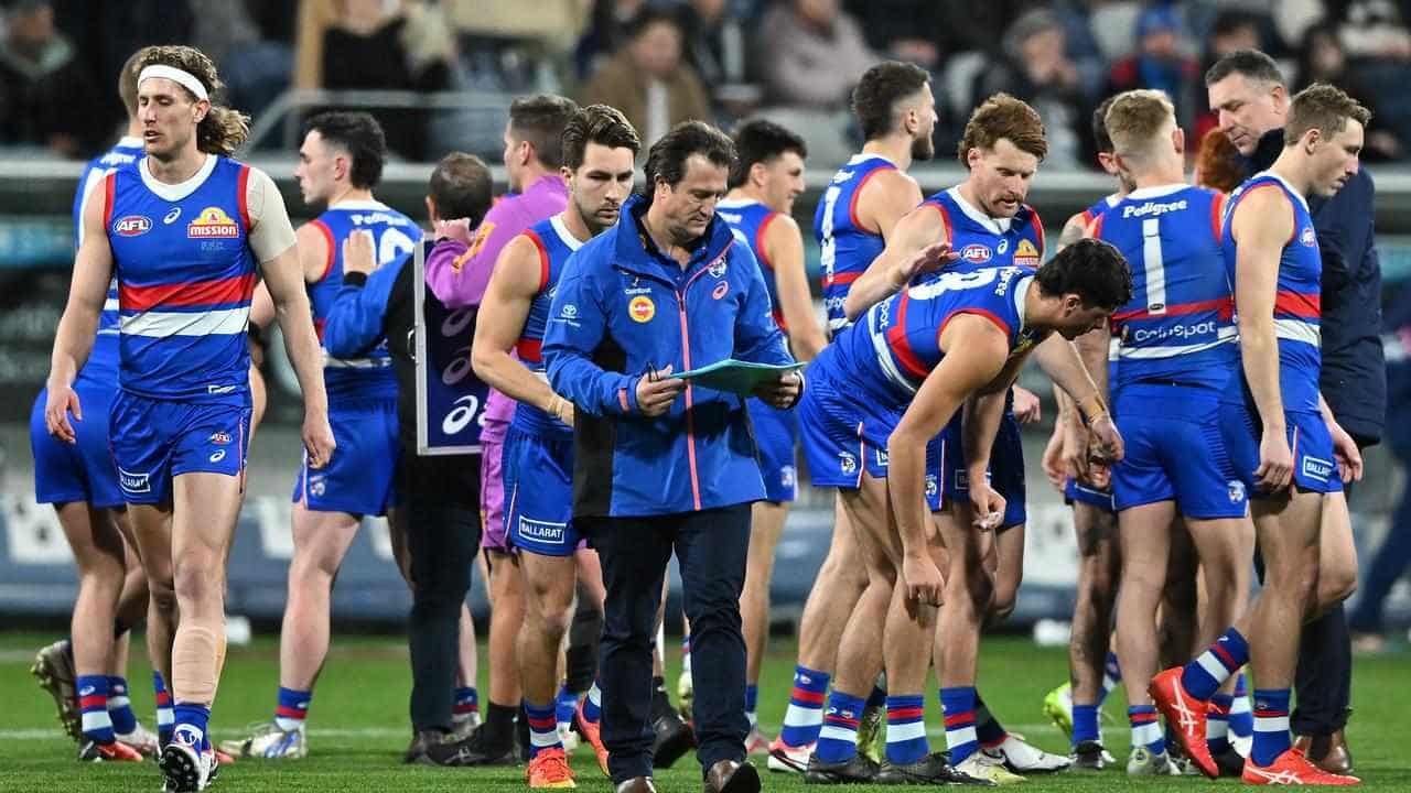 Bulldogs add more AFL experience to football department