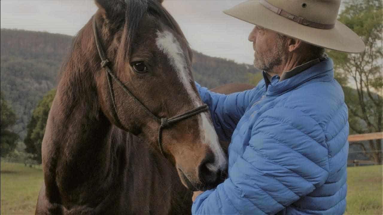 Traumatised veterans, racehorses benefit from therapy