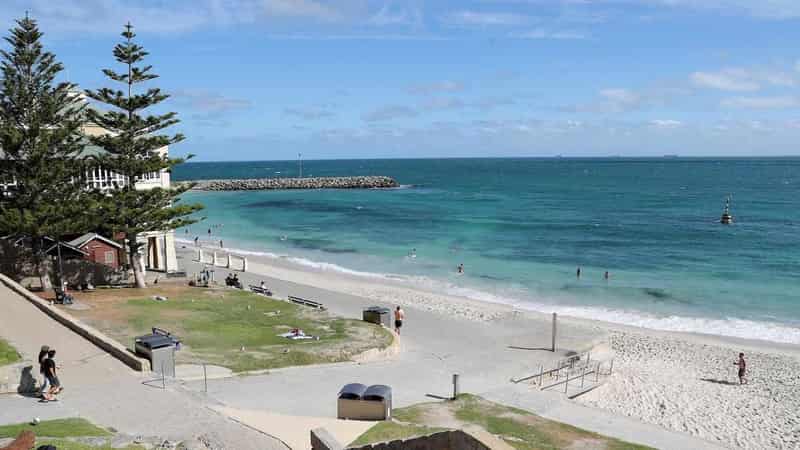 Shark fishing banned from Perth's metropolitan beaches