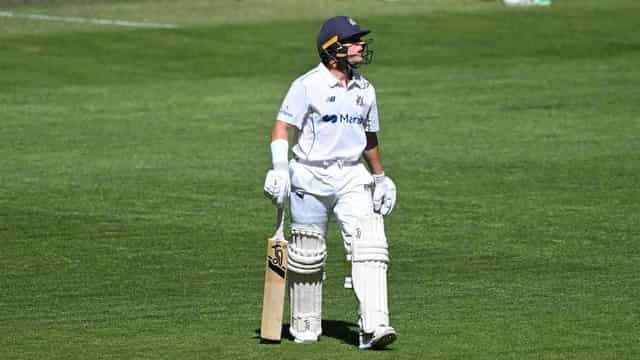 Harris falls cheaply again as Vics hold Shield lead