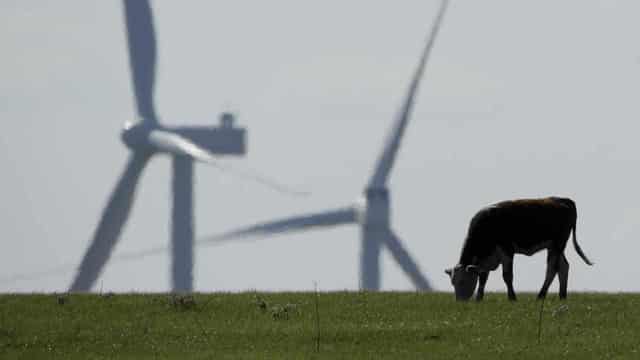 'Serious concerns' over Australia's soil carbon scheme