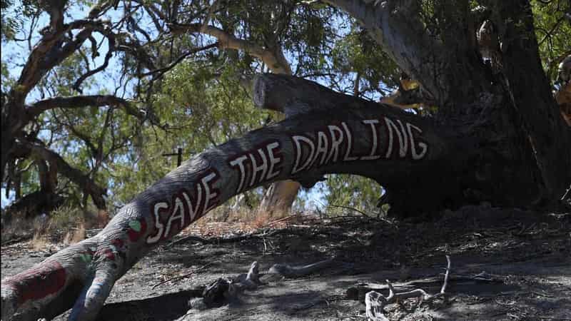 Review damns delivery of Murray-Darling Basin plan