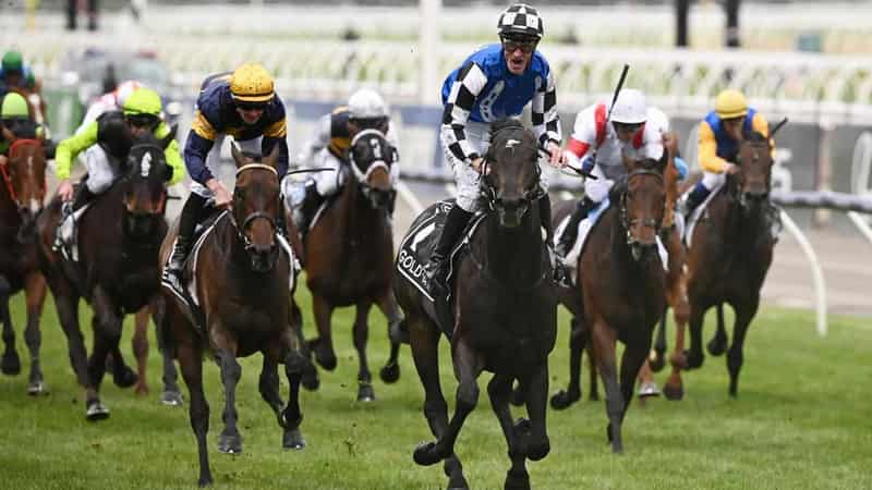 Mark Zahra makes peace with massive Melbourne Cup call