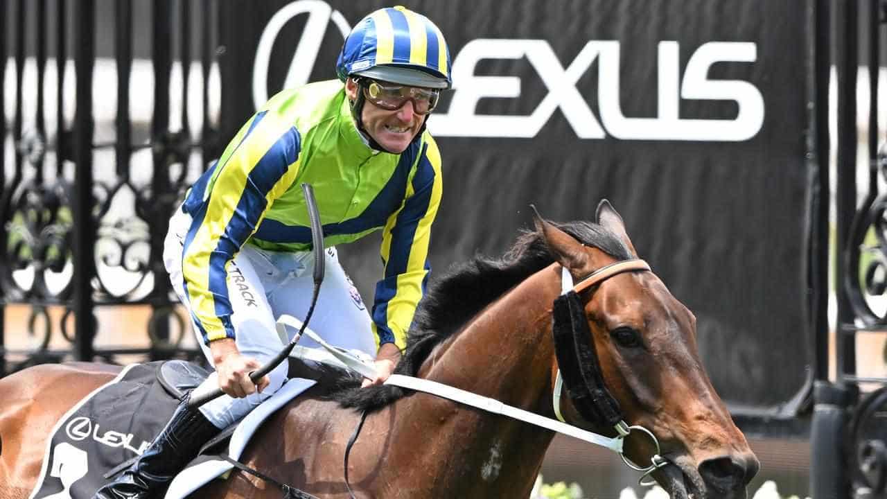 Damien Oliver steers Kalapour into Melbourne Cup field